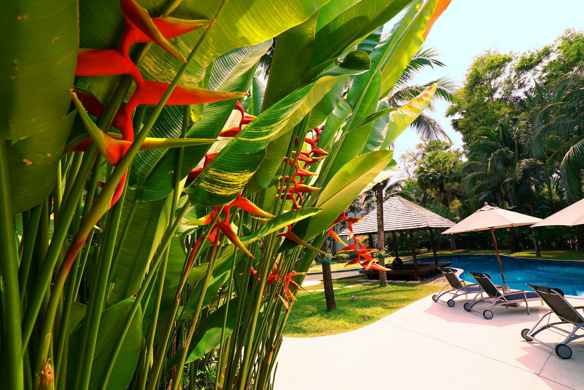 Casuarina Shores Apartment - Sha Plus Strand Bang Tao Exterior foto