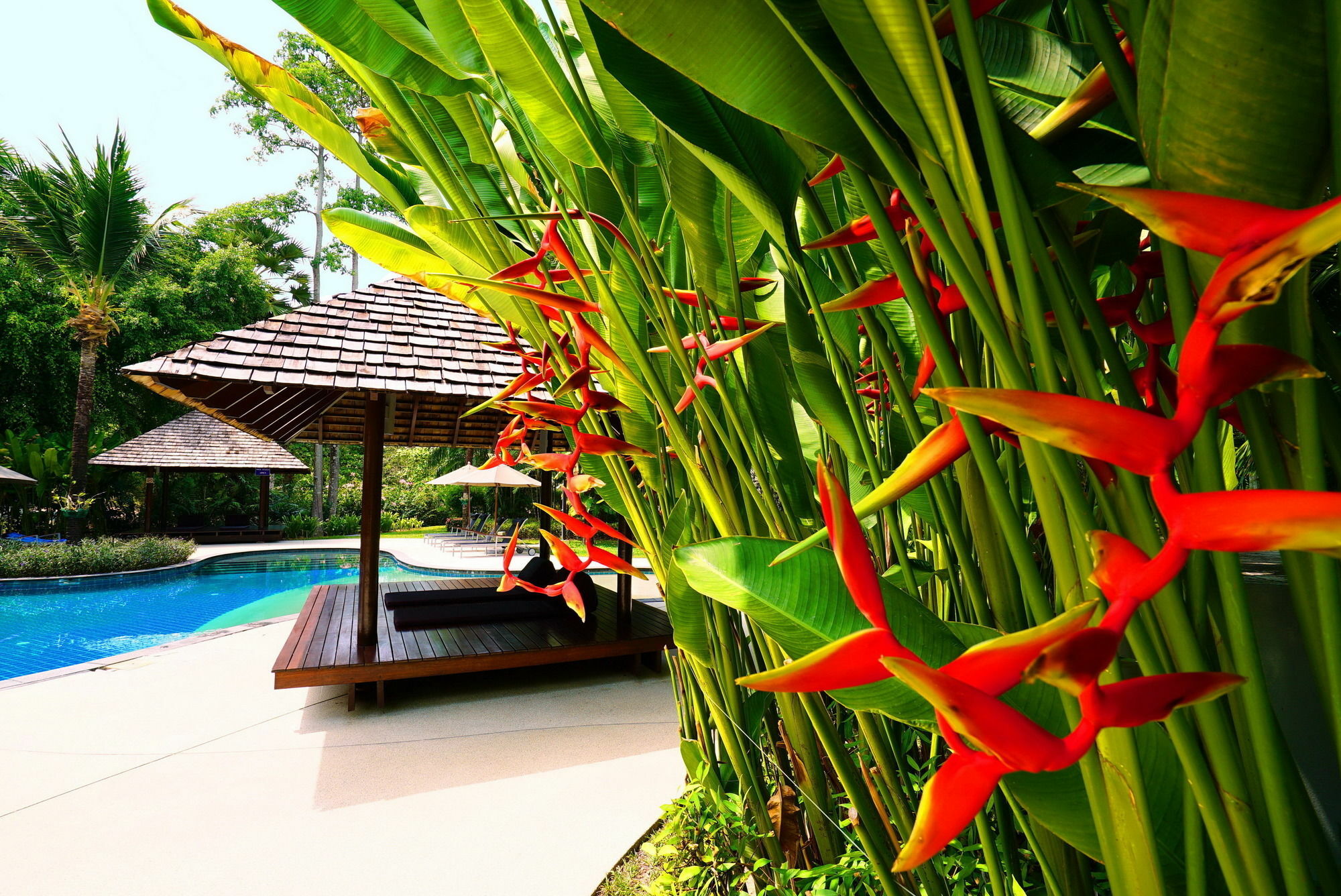 Casuarina Shores Apartment - Sha Plus Strand Bang Tao Exterior foto